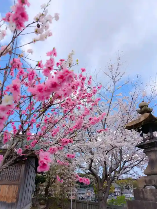 多賀神社の{uncategorized: "未分類", other: "その他", undefined: "問題あり", building: "その他建物", grave: "お墓", sacred_gate: "鳥居", guardian: "狛犬", statue: "像", buddha: "仏像", history: "歴史", nature: "自然", garden: "庭園", animal: "動物", pagoda: "塔", temizu: "手水舎", mountain_gate: "山門・神門", sanctuary: "本殿・本堂", subordinate: "末社・摂社", art: "芸術", scenery: "景色", jizo: "地蔵", ema: "絵馬", goshuin: "御朱印", omikuji: "おみくじ", items: "授与品その他", amulet: "お守り", goshuincho: "御朱印帳", eats: "食事", festival: "お祭り", votive_dance: "神楽", shichigosan: "七五三参", wedding: "結婚式", experience: "体験その他", initially: "初詣", around: "周辺", anti_infection: "感染症対策"}