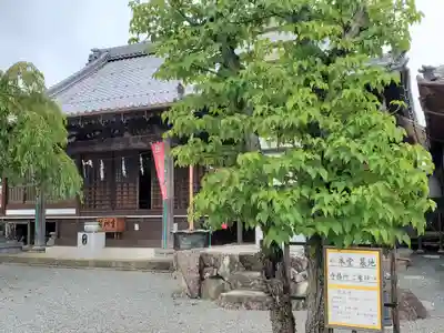 妙福寺の自然