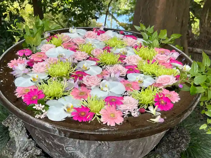 武蔵一宮氷川神社(埼玉県)