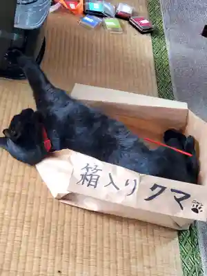 高司神社〜むすびの神の鎮まる社〜(福島県)