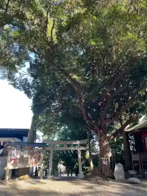 玉前神社(千葉県)