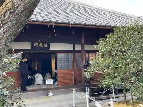 地蔵院（椿寺）(京都府)