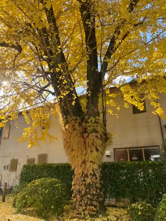 大斎原(熊野本宮大社旧社地)(和歌山県)