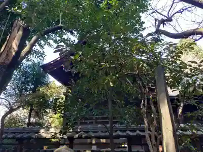 大森山王日枝神社(東京都)