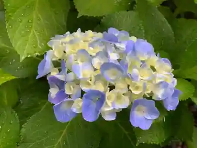 妙楽寺(神奈川県)