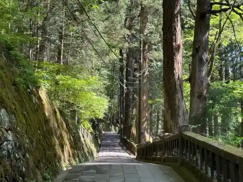 榛名神社の{uncategorized: "未分類", other: "その他", undefined: "問題あり", building: "その他建物", grave: "お墓", sacred_gate: "鳥居", guardian: "狛犬", statue: "像", buddha: "仏像", history: "歴史", nature: "自然", garden: "庭園", animal: "動物", pagoda: "塔", temizu: "手水舎", mountain_gate: "山門・神門", sanctuary: "本殿・本堂", subordinate: "末社・摂社", art: "芸術", scenery: "景色", jizo: "地蔵", ema: "絵馬", goshuin: "御朱印", omikuji: "おみくじ", items: "授与品その他", amulet: "お守り", goshuincho: "御朱印帳", eats: "食事", festival: "お祭り", votive_dance: "神楽", shichigosan: "七五三参", wedding: "結婚式", experience: "体験その他", initially: "初詣", around: "周辺", anti_infection: "感染症対策"}