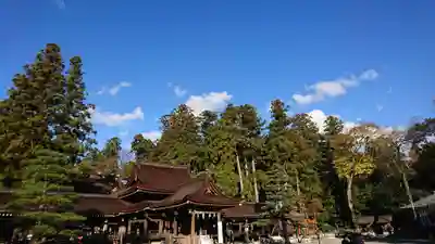 多賀大社の本殿・本堂