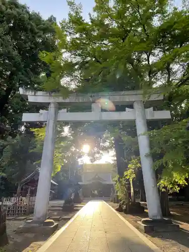 東村山八坂神社の鳥居