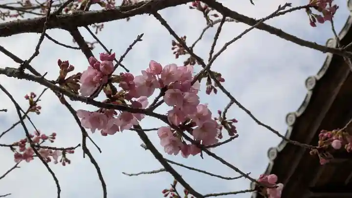 大歳神社(京都府)