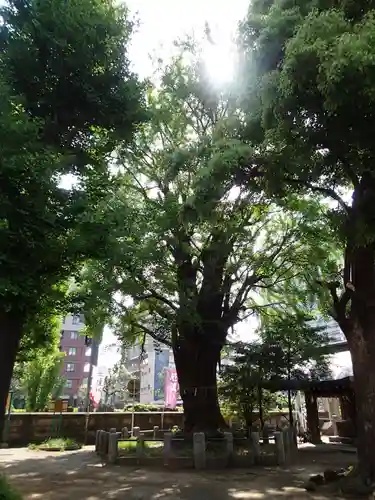 磐井神社のその他建物