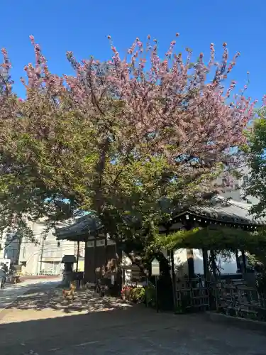 感通寺の{uncategorized: "未分類", other: "その他", undefined: "問題あり", building: "その他建物", grave: "お墓", sacred_gate: "鳥居", guardian: "狛犬", statue: "像", buddha: "仏像", history: "歴史", nature: "自然", garden: "庭園", animal: "動物", pagoda: "塔", temizu: "手水舎", mountain_gate: "山門・神門", sanctuary: "本殿・本堂", subordinate: "末社・摂社", art: "芸術", scenery: "景色", jizo: "地蔵", ema: "絵馬", goshuin: "御朱印", omikuji: "おみくじ", items: "授与品その他", amulet: "お守り", goshuincho: "御朱印帳", eats: "食事", festival: "お祭り", votive_dance: "神楽", shichigosan: "七五三参", wedding: "結婚式", experience: "体験その他", initially: "初詣", around: "周辺", anti_infection: "感染症対策"}