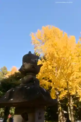 玉敷神社(埼玉県)