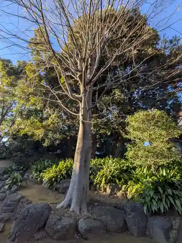 長仙寺(東京都)