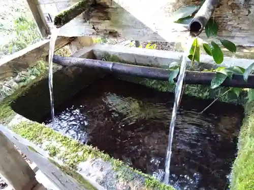 国造神社の手水