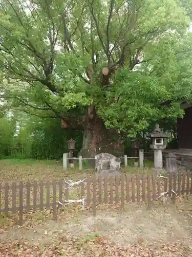 新田白山神社(愛知県)