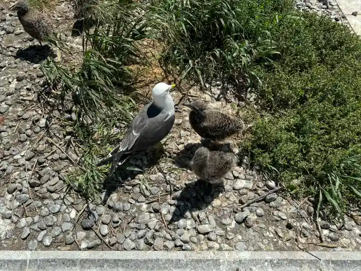 蕪嶋神社(青森県)