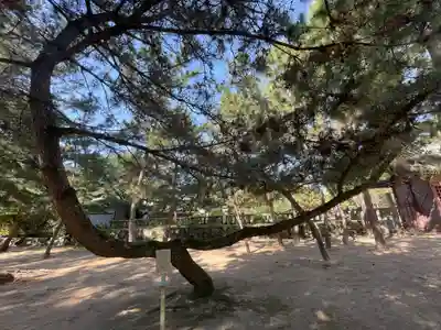 石清水神社(香川県)