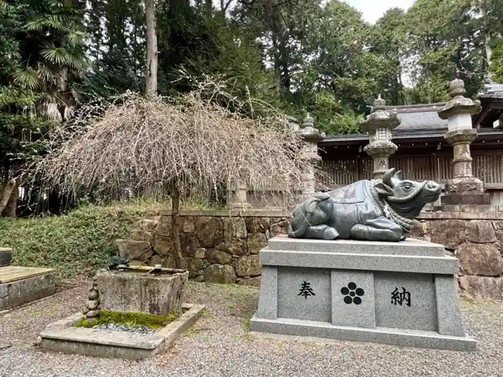 瀧樹神社(滋賀県)