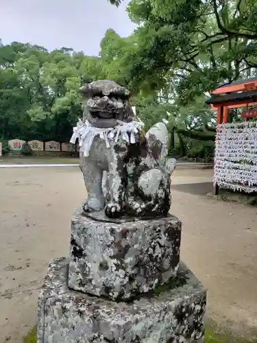 唐津神社の狛犬