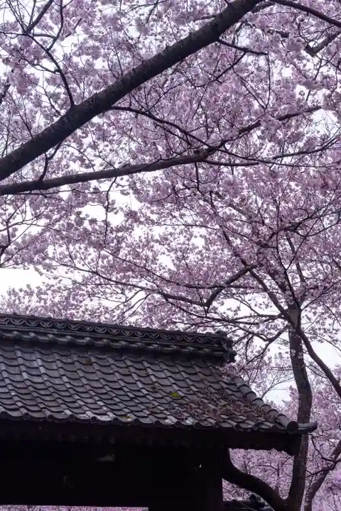 新城藤原神社(長野県)
