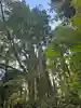 貴船神社奥宮(京都府)