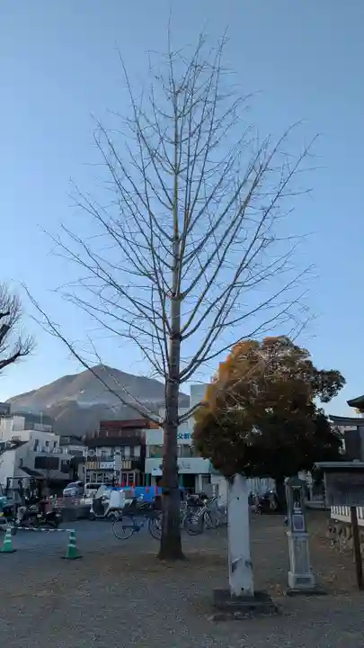 秩父神社大祭御旅所の自然