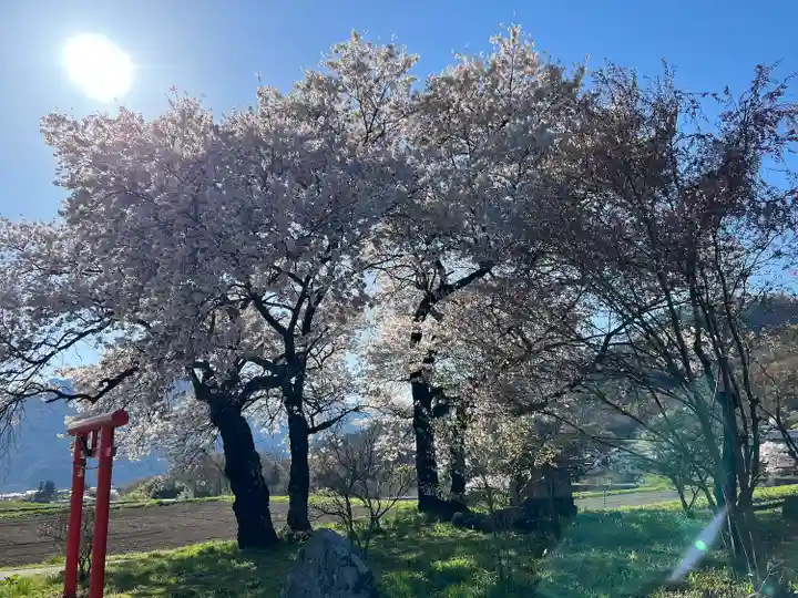 天神宮(伝河原氏屋敷跡)の自然