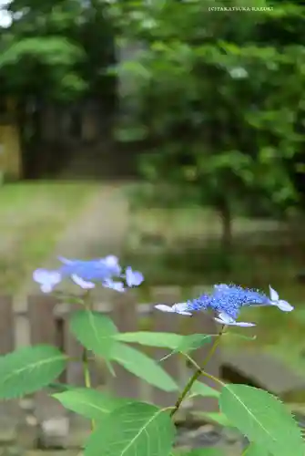 伊勢山皇大神宮(神奈川県)
