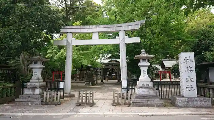 杵築大社の鳥居