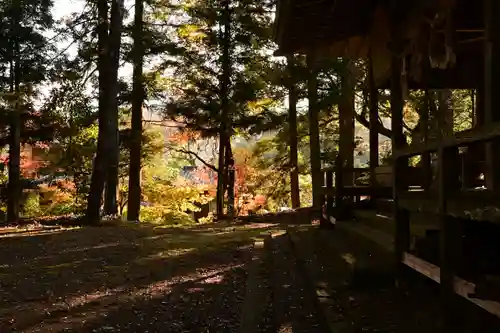 八幡神社(愛媛県)