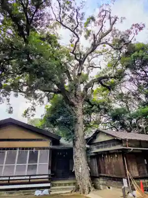 上野毛稲荷神社(東京都)