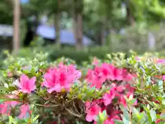 山家神社の自然