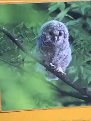野木神社のその他建物