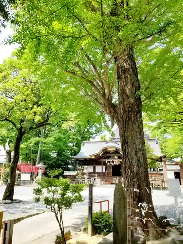 安積國造神社の本殿・本堂