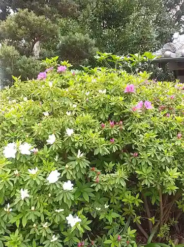 比佐豆知神社(三重県)