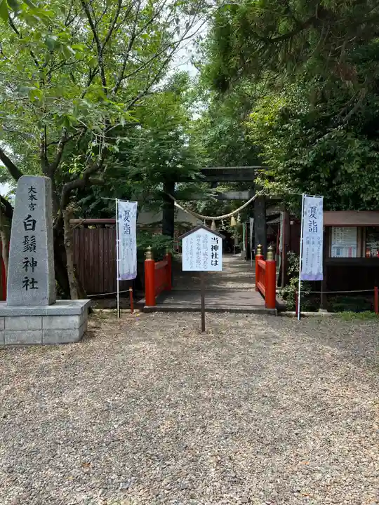 白鬚神社のその他建物