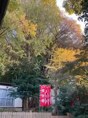 石川町諏訪神社のその他建物