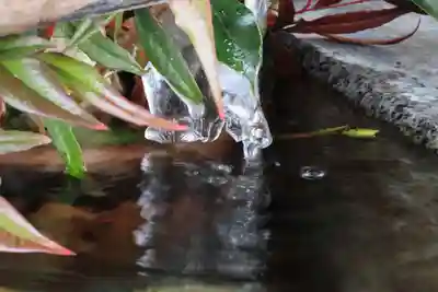 高司神社〜むすびの神の鎮まる社〜の手水舎