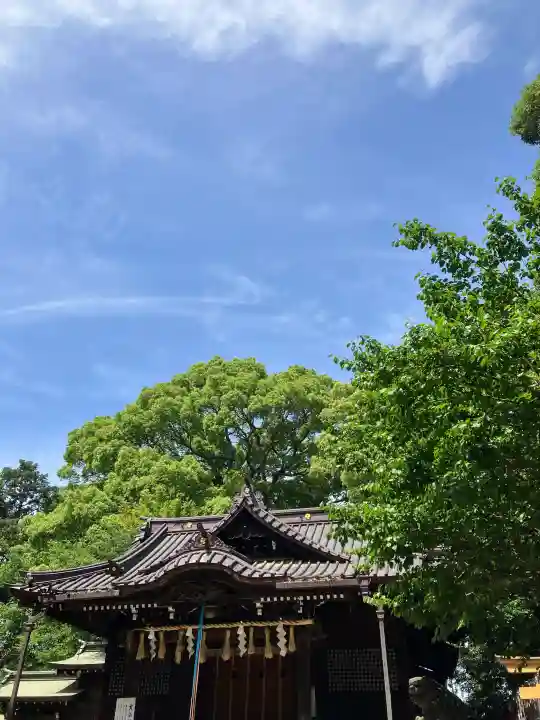 代々木八幡宮の{uncategorized: "未分類", other: "その他", undefined: "問題あり", building: "その他建物", grave: "お墓", sacred_gate: "鳥居", guardian: "狛犬", statue: "像", buddha: "仏像", history: "歴史", nature: "自然", garden: "庭園", animal: "動物", pagoda: "塔", temizu: "手水舎", mountain_gate: "山門・神門", sanctuary: "本殿・本堂", subordinate: "末社・摂社", art: "芸術", scenery: "景色", jizo: "地蔵", ema: "絵馬", goshuin: "御朱印", omikuji: "おみくじ", items: "授与品その他", amulet: "お守り", goshuincho: "御朱印帳", eats: "食事", festival: "お祭り", votive_dance: "神楽", shichigosan: "七五三参", wedding: "結婚式", experience: "体験その他", initially: "初詣", around: "周辺", anti_infection: "感染症対策"}