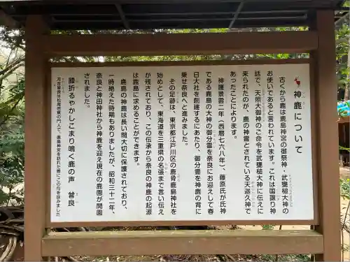 鹿島神宮(茨城県)