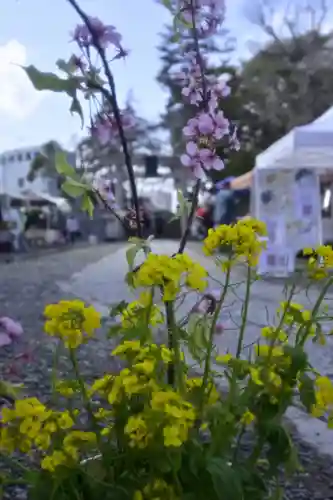 玉前神社の自然