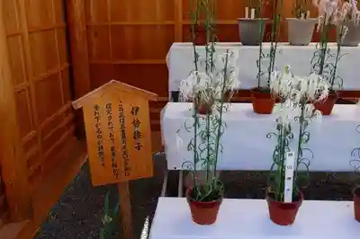 伊勢神宮内宮（皇大神宮）のその他建物