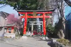 馬橋稲荷神社の鳥居