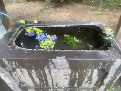 千代ケ岡八幡宮(栃木県)