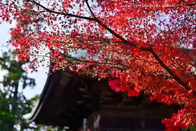 円覚寺(神奈川県)