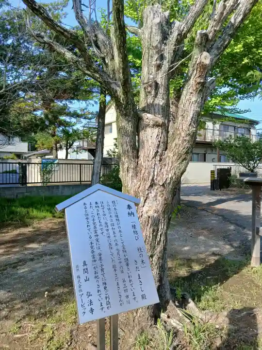 手児奈霊神堂の{uncategorized: "未分類", other: "その他", undefined: "問題あり", building: "その他建物", grave: "お墓", sacred_gate: "鳥居", guardian: "狛犬", statue: "像", buddha: "仏像", history: "歴史", nature: "自然", garden: "庭園", animal: "動物", pagoda: "塔", temizu: "手水舎", mountain_gate: "山門・神門", sanctuary: "本殿・本堂", subordinate: "末社・摂社", art: "芸術", scenery: "景色", jizo: "地蔵", ema: "絵馬", goshuin: "御朱印", omikuji: "おみくじ", items: "授与品その他", amulet: "お守り", goshuincho: "御朱印帳", eats: "食事", festival: "お祭り", votive_dance: "神楽", shichigosan: "七五三参", wedding: "結婚式", experience: "体験その他", initially: "初詣", around: "周辺", anti_infection: "感染症対策"}