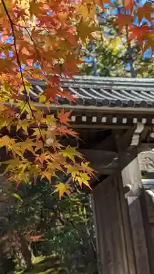 赤山禅院(京都府)