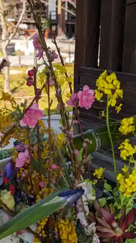 勝林寺(京都府)