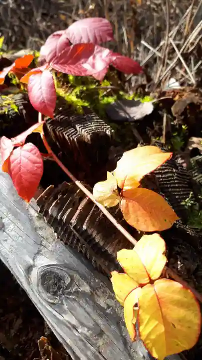 弥照神社(北海道)