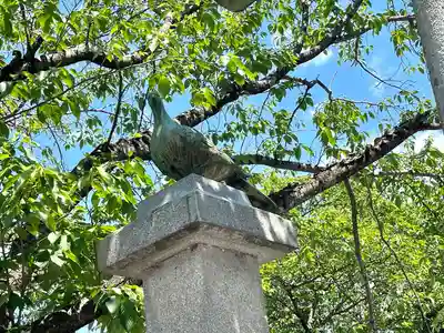 高嶋神社(滋賀県)